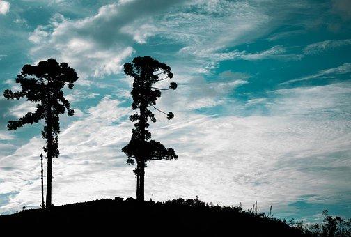 劳动仲裁起诉书