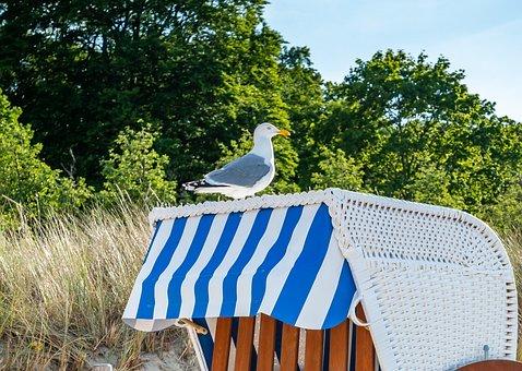 支付短期借款利息会计分录