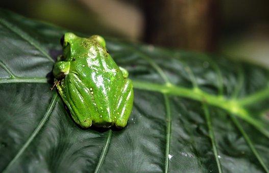 等额本息计算方式
