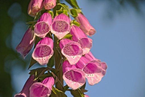 营业外收入属于什么科目