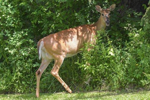 百色住房公积金