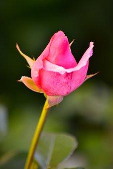 招标代理服务费