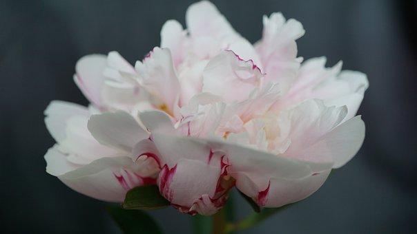 出租写字楼去哪