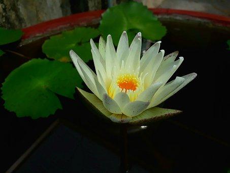 澳大利亚移民需要什么