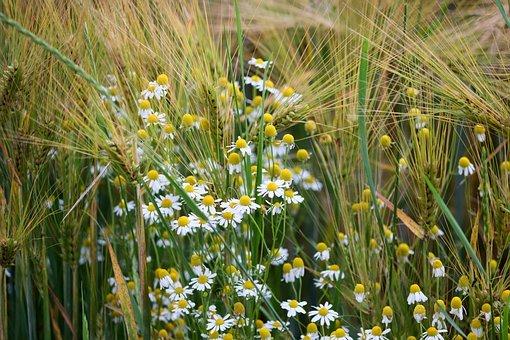 解除劳动合同和终止劳动合同区别