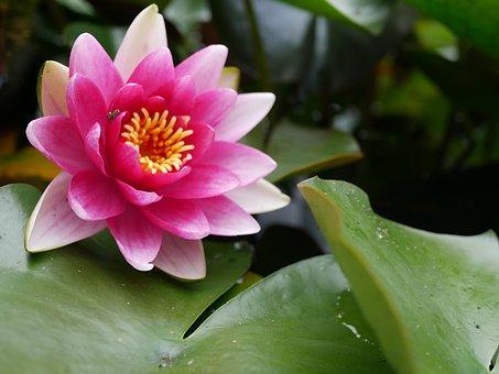 南京交通事故律师