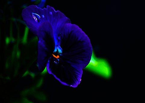 刚拿的驾照能扣分吗