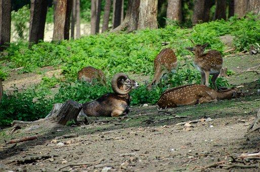 违约金和赔偿金能否同时主张