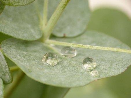 香港通行证办理要多久