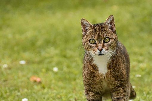 上海浩信律师事务所