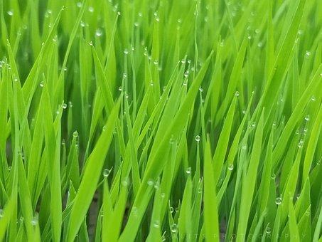 公司出差管理制度