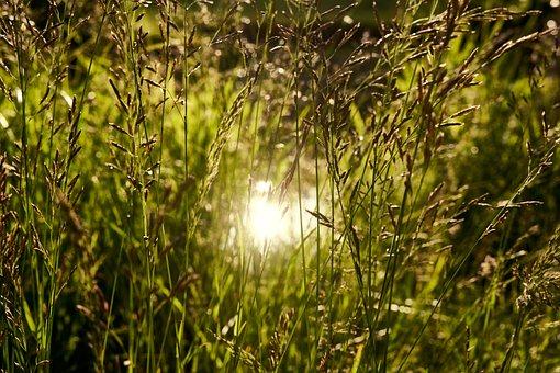 2019一般纳税人的标准