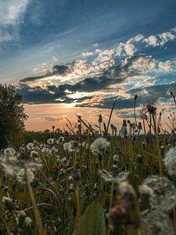 吉林省公积金查询