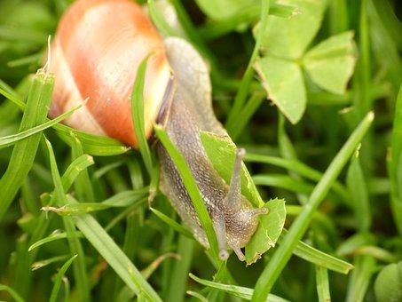 2019上海最低工资