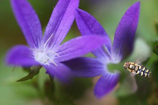 一边领失业金一边上班