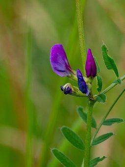 小产假期多少天