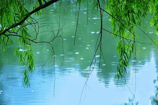 小微企业注册流程