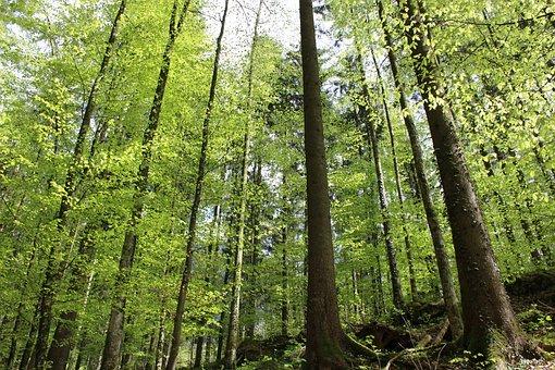 寻衅滋事罪司法解释