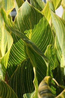 治安处罚会留案底吗