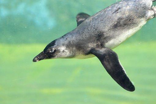 朝阳区民政局婚姻登记处