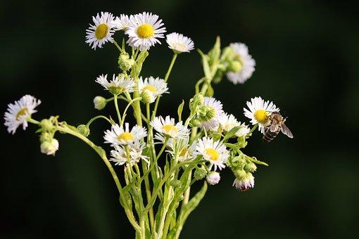 已交税金会计分录