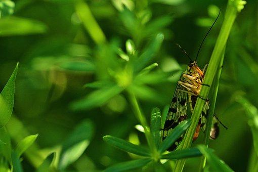 解除劳动合同和终止劳动合同区别