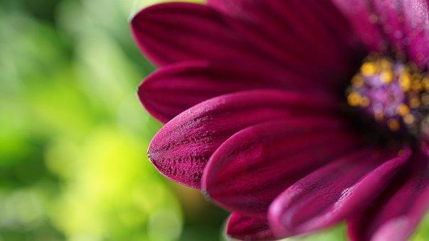 民事诉讼基本原则