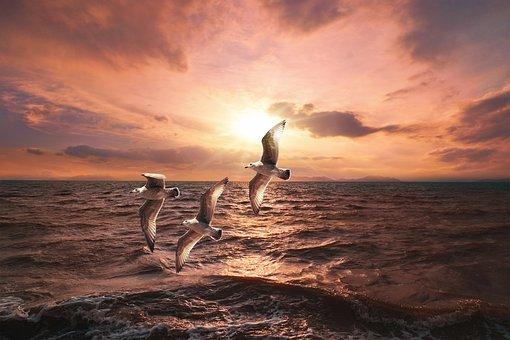 上海婚姻继承律师