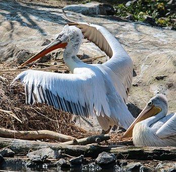 上年在职职工年平均工资