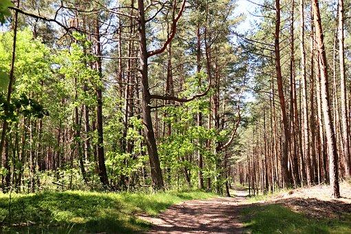 个体工商户 经营范围