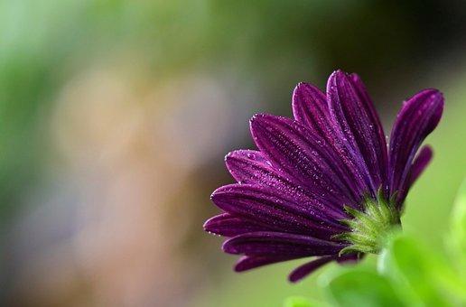 鑫诺律师事务所