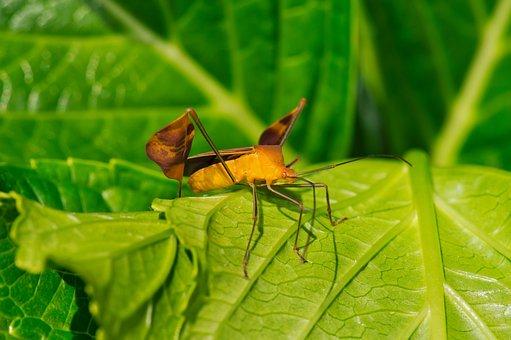 劳务合同的解除