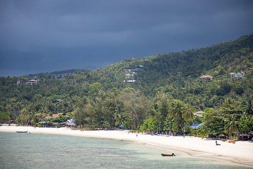 重大环境污染事故罪