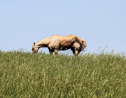 广东君言律师事务所