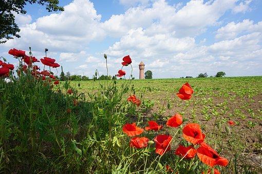 会考成绩对高考有影响吗