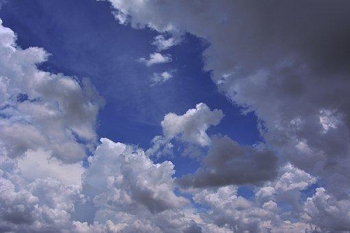 税务事项通知书