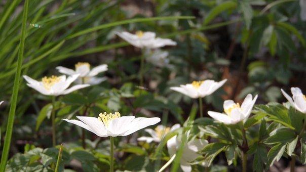 撤销连续三年停止使用注册商标