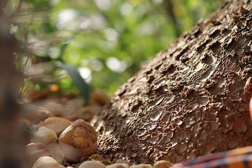 遗产税最新消息2018