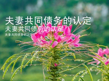 夫妻共同债务的认定