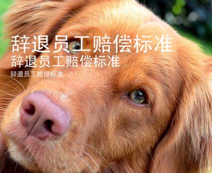 辞退员工赔偿标准