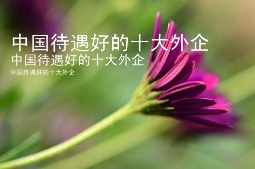 中国待遇好的十大外企