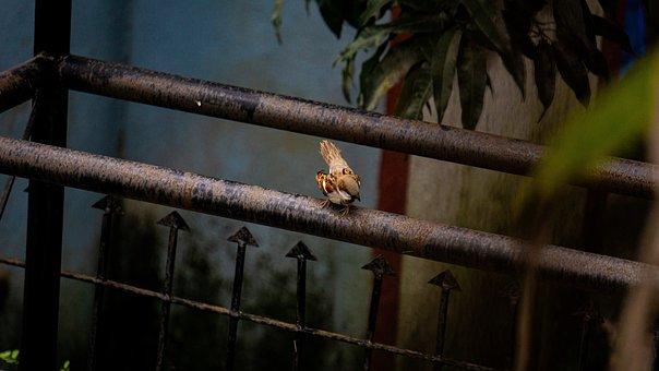 济南市不动产登记中心