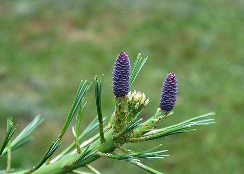 一般人能开幼儿园吗