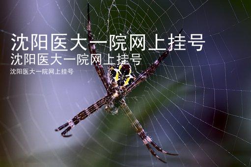 沈阳医大一院网上挂号