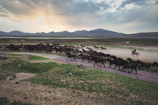 怎样开棋牌室才合法