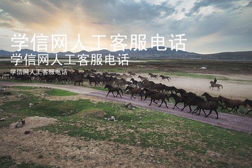 学信网人工客服电话