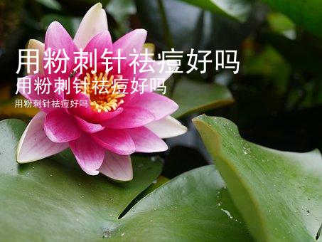 用粉刺针祛痘好吗