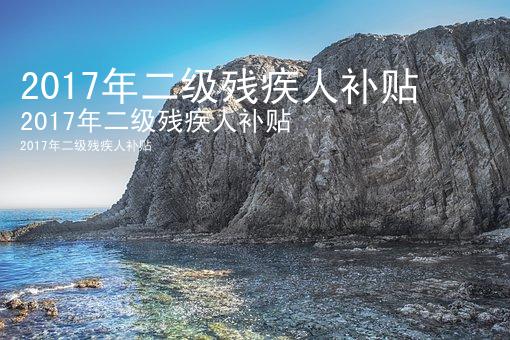 2017年二级残疾人补贴