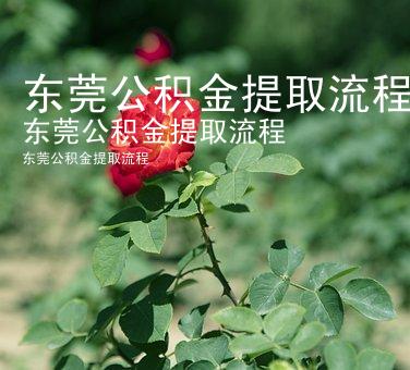 东莞公积金提取流程