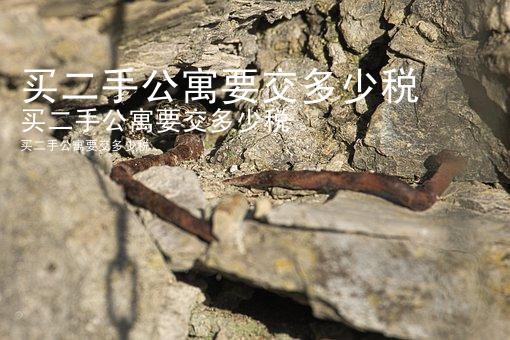 买二手公寓要交多少税